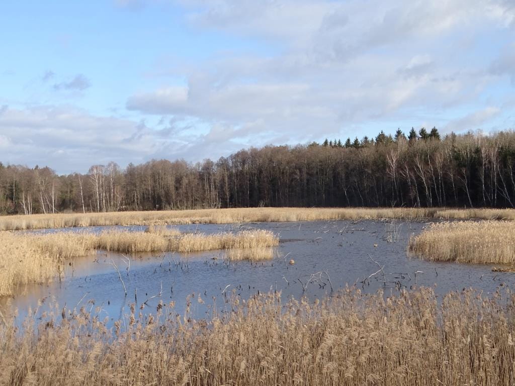 Poleski Park Narodowy - Ścieżka przyrodnicza Perehod zimą