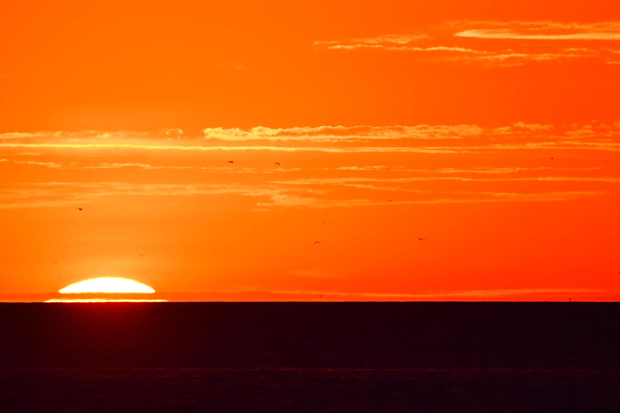 Sunrise over the Mewia Łacha reserve