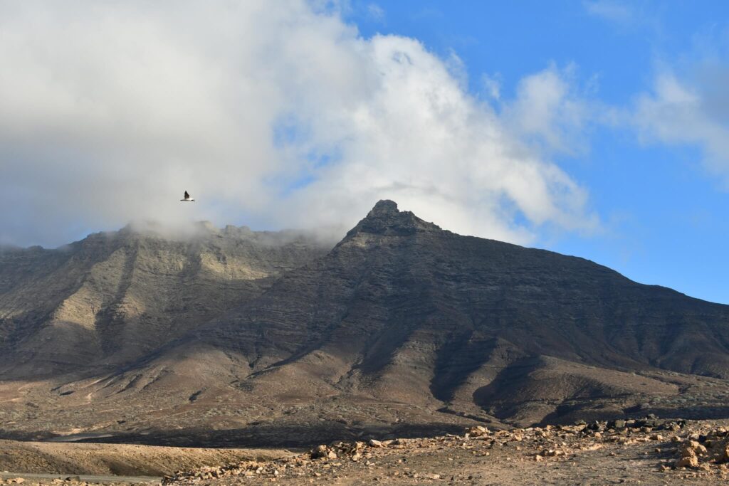 Playa de Cofete landscape