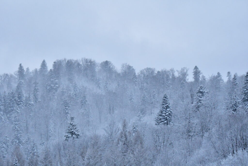 Bieszczady zimą